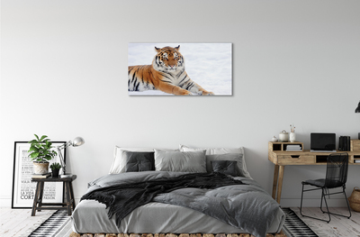 Tableaux sur toile canvas Hiver tiger