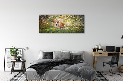 Tableaux sur toile canvas Fleurs forestières chien