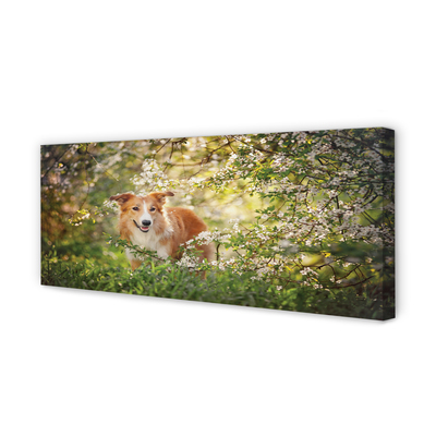 Tableaux sur toile canvas Fleurs forestières chien