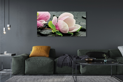 Tableaux sur toile canvas Magnolia pierres