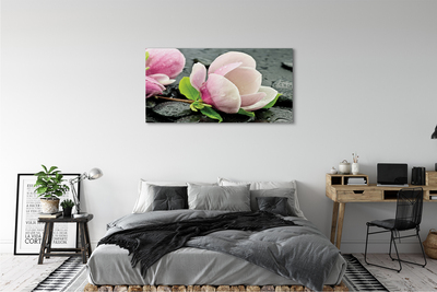 Tableaux sur toile canvas Magnolia pierres