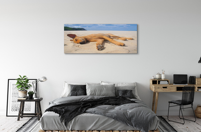 Tableaux sur toile canvas Couché plage de chien