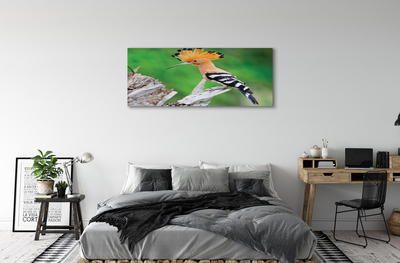 Tableaux sur toile canvas Arbre perroquet coloré