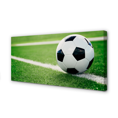 Tableaux sur toile canvas Pelouse de football