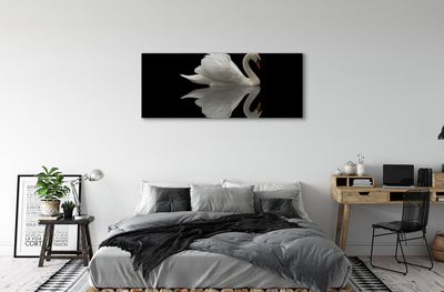 Tableaux sur toile canvas Swan dans la nuit