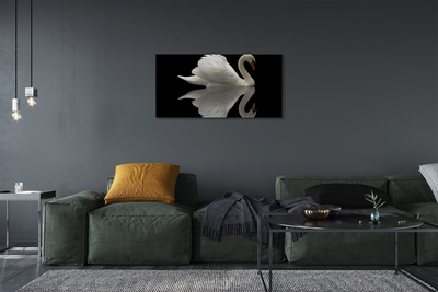 Tableaux sur toile canvas Swan dans la nuit