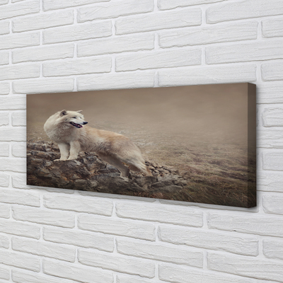 Tableaux sur toile canvas Montagnes de loup