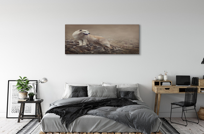 Tableaux sur toile canvas Montagnes de loup