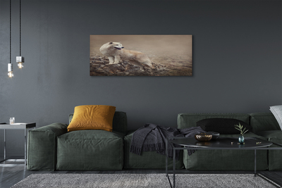 Tableaux sur toile canvas Montagnes de loup