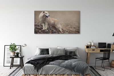 Tableaux sur toile canvas Montagnes de loup