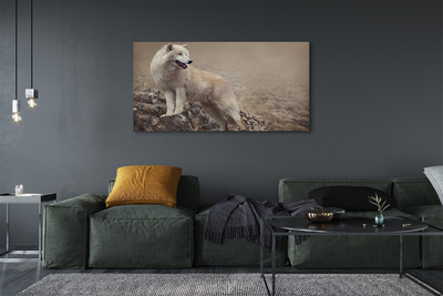 Tableaux sur toile canvas Montagnes de loup