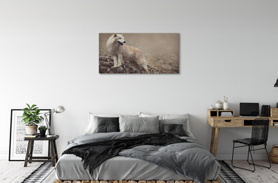 Tableaux sur toile canvas Montagnes de loup