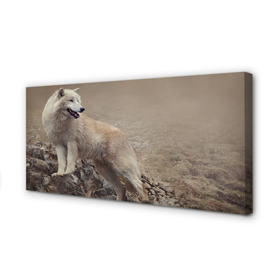 Tableaux sur toile canvas Montagnes de loup