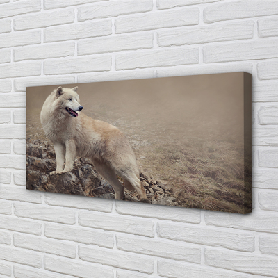 Tableaux sur toile canvas Montagnes de loup