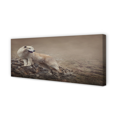 Tableaux sur toile canvas Montagnes de loup