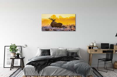 Tableaux sur toile canvas Cerfs lever du soleil d'hiver