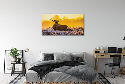 Tableaux sur toile canvas Cerfs lever du soleil d'hiver
