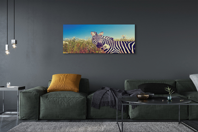 Tableaux sur toile canvas Fleurs zebra