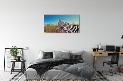 Tableaux sur toile canvas Fleurs zebra