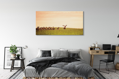 Tableaux sur toile canvas Un troupeau de cerfs lever du soleil sur le terrain