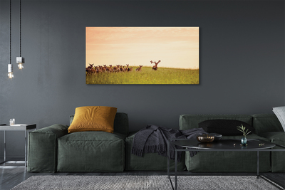 Tableaux sur toile canvas Un troupeau de cerfs lever du soleil sur le terrain