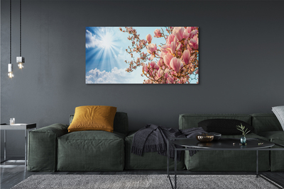 Tableaux sur toile canvas Ciel soleil magnolia