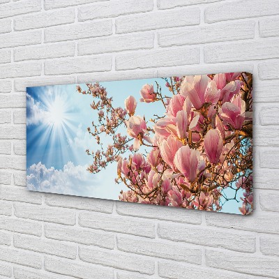 Tableaux sur toile canvas Ciel soleil magnolia