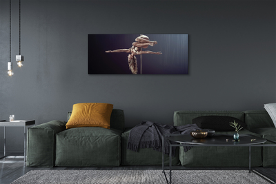 Tableaux sur toile canvas Tuyau de danse femme