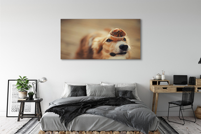Tableaux sur toile canvas Petit pain chien