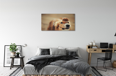 Tableaux sur toile canvas Petit pain chien
