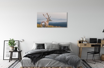 Tableaux sur toile canvas Cerfs montagnes