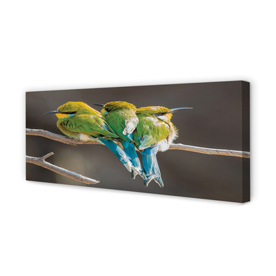 Tableaux sur toile canvas Les oiseaux sur une branche
