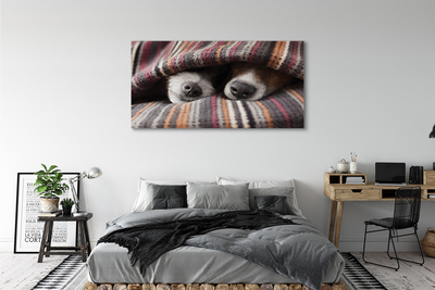 Tableaux sur toile canvas Chiens de couchage