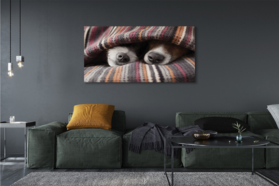 Tableaux sur toile canvas Chiens de couchage