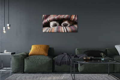 Tableaux sur toile canvas Chiens de couchage