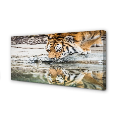 Tableaux sur toile canvas Boisson tigre