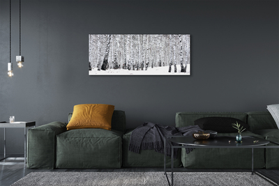 Tableaux sur toile canvas Bouleaux d'hiver