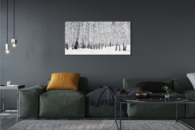 Tableaux sur toile canvas Bouleaux d'hiver