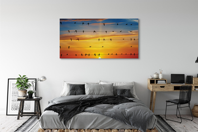 Tableaux sur toile canvas Oiseaux sur le coucher du soleil cordes