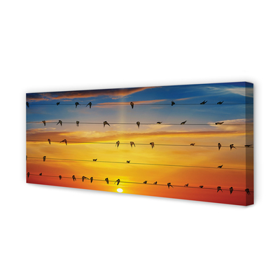 Tableaux sur toile canvas Oiseaux sur le coucher du soleil cordes