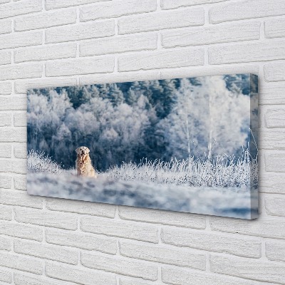 Tableaux sur toile canvas Chien de montagne d'hiver