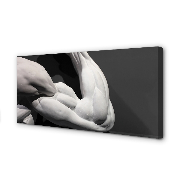 Tableaux sur toile canvas Noir et blanc muscle