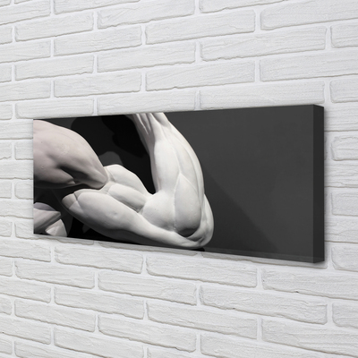 Tableaux sur toile canvas Noir et blanc muscle