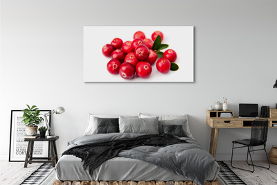 Tableaux sur toile canvas Avocat