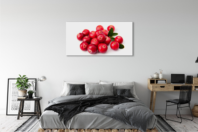 Tableaux sur toile canvas Avocat