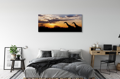 Tableaux sur toile canvas Nuages ​​arbre girafes