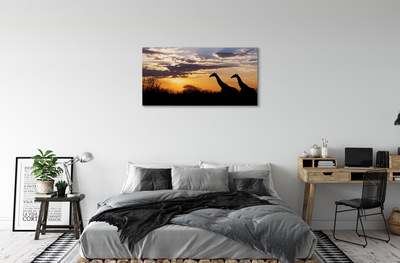 Tableaux sur toile canvas Nuages ​​arbre girafes