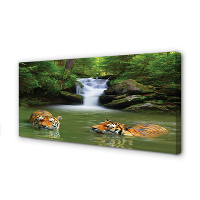 Tableaux sur toile canvas Tigres de chute d'eau