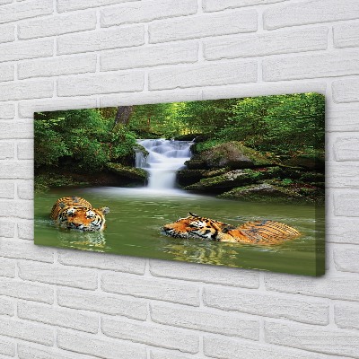 Tableaux sur toile canvas Tigres de chute d'eau