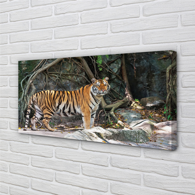 Tableaux sur toile canvas Jungle tigre